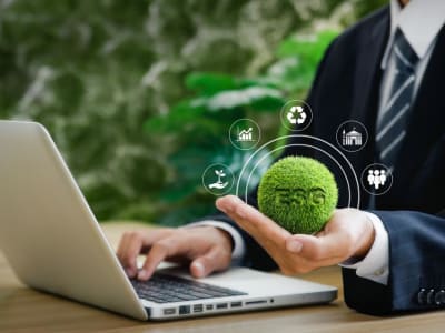 Perusahaan Terdepan di Energi, Penerbangan, dan Dekorasi Rumah Ramah Lingkungan 2025