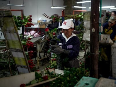 Bank Sentral Kolombia Tahan Suku Bunga Karena Ancaman Fiskal dan Tarif AS