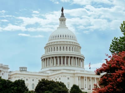 Prinsip Pasar Digital Blockchain: Regulasi Pintar untuk Perlindungan dan Inovasi