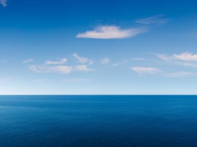 Misteri Paus 52 Hertz: Suara Sepi dari Kedalaman Samudra Pasifik