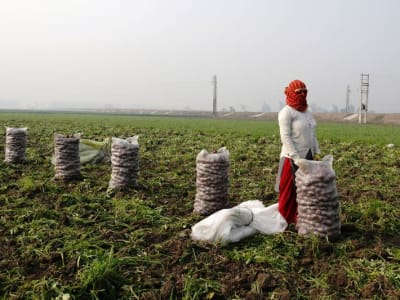 Anggaran India 2025: Pemotongan Pajak Jadi Andalan, Reformasi Tertunda