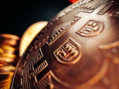 Harga Crypto Naik, Tapi Lowongan Kerja di Industri Masih Lambat Tumbuh