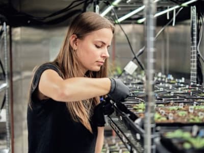 Heritable Agriculture: Teknologi AI untuk Revolusi Pertanian Ramah Lingkungan