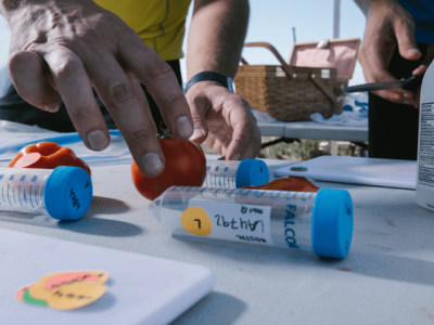 Heritable Agriculture: AI Bantu Tingkatkan Hasil Panen Ramah Lingkungan