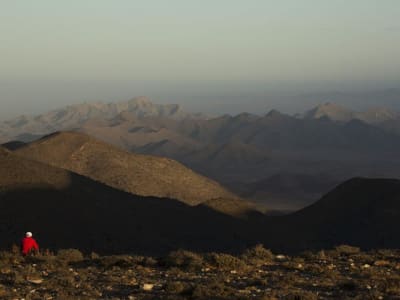Trump Hentikan Bantuan AS ke Afrika Selatan Karena Kebijakan Ambil Tanah