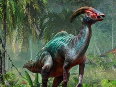 Kolagen Asli Dalam Fosil Dinosaurus: Menyingkap Rahasia Biokimia Prasejarah