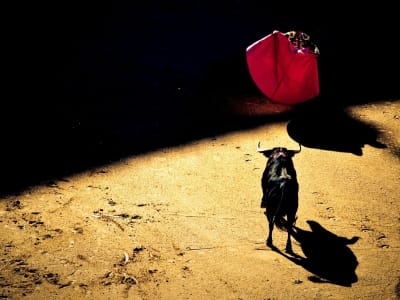 Tokenisasi Aset Dunia Nyata Dorong Pemulihan dan Inovasi Pasar Kripto Global