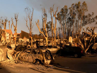 State Farm Minta Kenaikan Tarif Asuransi Akibat Kebakaran Hutan di California
