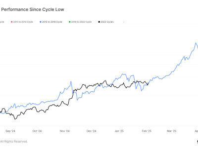 Bitcoin Tetap Konsisten Mengikuti Pola Siklus 2017 Meski Pasar Bergejolak
