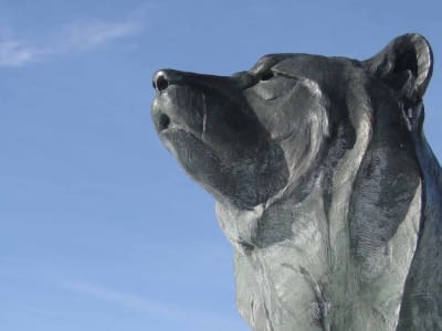 Berachain Akan Diluncurkan 6 Februari, Kumpulkan Likuiditas Rp 49.34 triliun ($3 Miliar)  Sebelum Mainnet