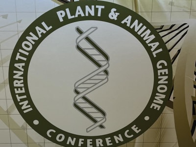 Kemajuan Teknologi Genomik Buka Peluang Besar untuk Tanaman dan Hewan