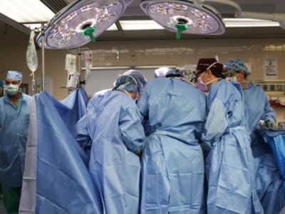 Uji Klinis Transplantasi Ginjal Babi: Harapan Baru Penyembuhan Gagal Ginjal