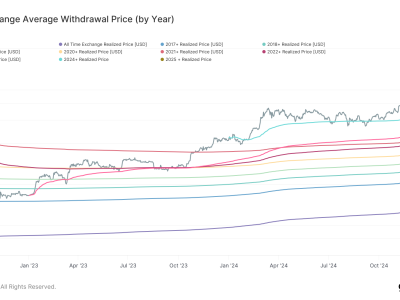 Pentingnya Harga Rata-Rata Penarikan Bitcoin Sebagai Penentu Arah Harga 2025
