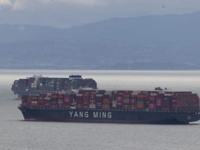 Trader Ramalkan Tarif dan Inflasi Picu Volatilitas Pasar Global Tahun 2025