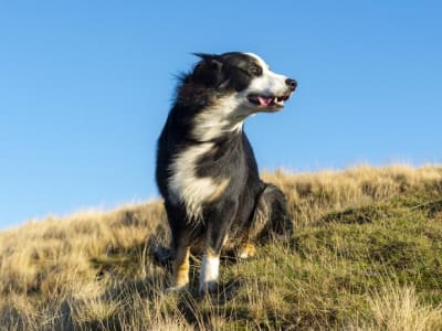 Cara Mudah Perbarui Aksesori Apple Kamu untuk Resolusi Tanpa Stres