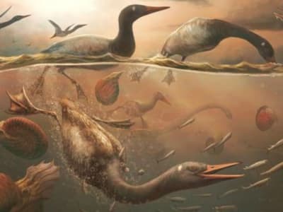 Antarktika: Tempat Perlindungan Burung Modern Tertua Saat Kepunahan Dinosaurus