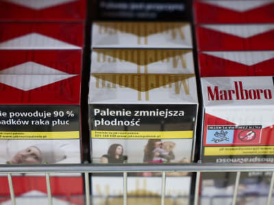Philip Morris Raih Laba Kuartal Lebih Tinggi Berkat Popularitas ZYN
