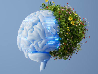 Bagaimana AI Mempercepat dan Mempermudah Pencapaian Target Keberlanjutan 2030