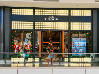 Tapestry Catat Rekor Penjualan Liburan Berkat Kinerja Kuat Coach