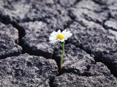 Menghadapi Tantangan ESG: Menguat Bersama dalam Perjalanan Keberlanjutan