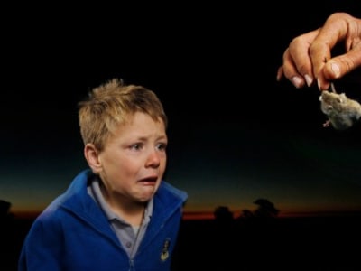 Penemuan Otak Tikus yang Bisa Bantu Redakan Rasa Takut pada Manusia