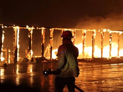 Misteri Penyebab Kebakaran Besar di Los Angeles dan Upaya Pencegahannya