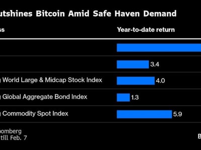Bitcoin Kehilangan Kilau Saat Investasi Aman Seperti Emas Menguat di 2024