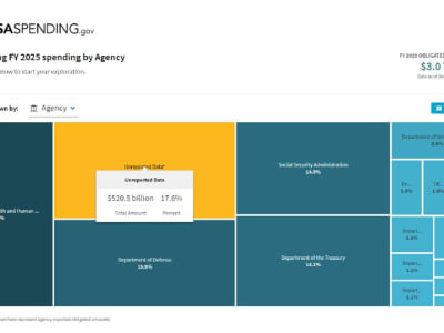 DOGE dan Revolusi Transparansi Anggaran Amerika Serikat di Tahun 2025