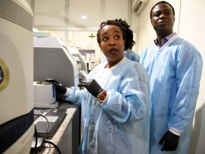 Dampak Pemotongan Dana USAID dan Tantangan Investasi Swasta di Pembangunan Global