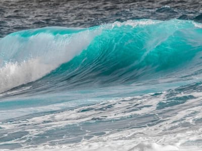 Bitcoin Jatuh Nyaris Rp 1.50 juta ($91.000) , Inflow USDT ke Bursa Capai Rekor Besar