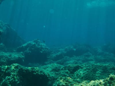 Lonjakan Beryllium-10 di Dasar Laut Buka Jalan Penanda Waktu Baru Geologi