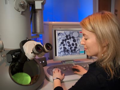 Tantangan dan Solusi Penting Tutup Kesenjangan Gender di STEM Inggris