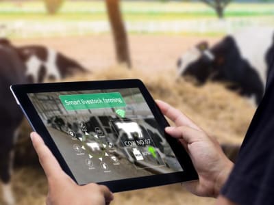 Almarai Kembangkan AI dan Investasi Besar untuk Lindungi Ketahanan Pangan Timur Tengah