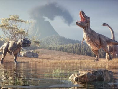 Penemuan Jaringan Lunak Dinosaurus yang Bertahan Jutaan Tahun, Mengubah Ilmu Fosil