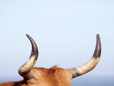 KULR Technology Perbesar Investasi Bitcoin Jadi 610 BTC Senilai Rp 986.70 miliar ($60 Juta) 