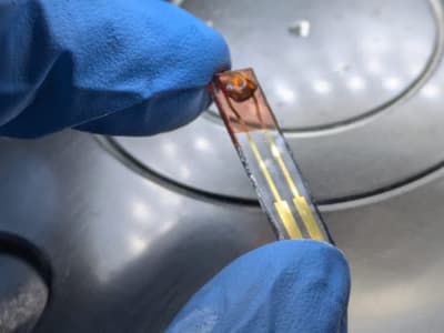 Teknologi Penglihatan Buatan Ramah Lingkungan Berbasis Madudan Otak Manusia