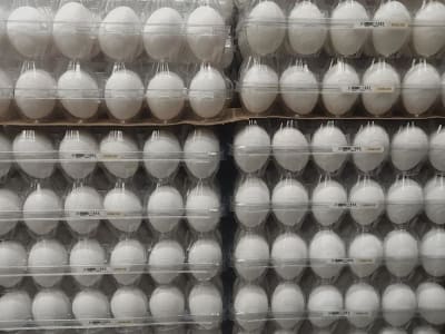 Harga Telur, Jus Jeruk, dan Kopi Melonjak Tinggi, Tekan Dompet Konsumen