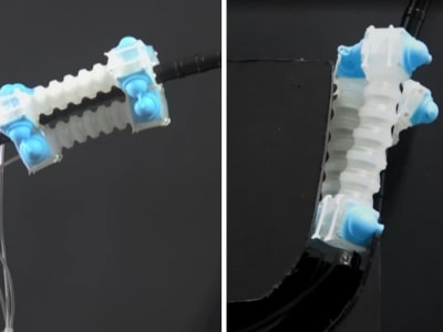 Robot Lunak Revolusioner Berjalan, Memanjat, dan Berubah Bentuk dengan Satu Sumber Udara