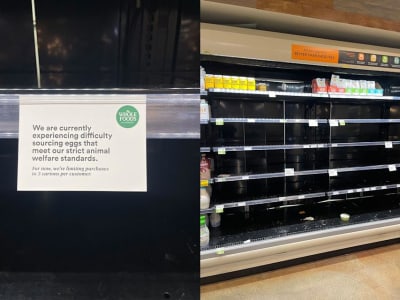 Krisis Telur Amerika: Harga Meroket dan Stok Menipis Akibat Flu Burung