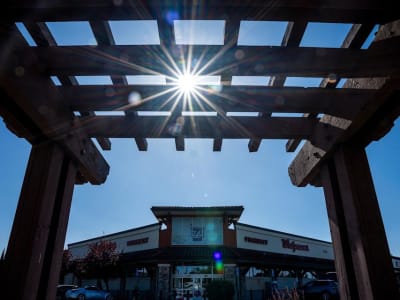 Walgreens Siap Jual atau Restrukturisasi VillageMD untuk Perbaiki Keuangan