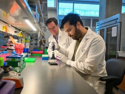 Tes Darah PAC-MANN: Terobosan Deteksi Dini Kanker Pankreas yang Akurat dan Murah