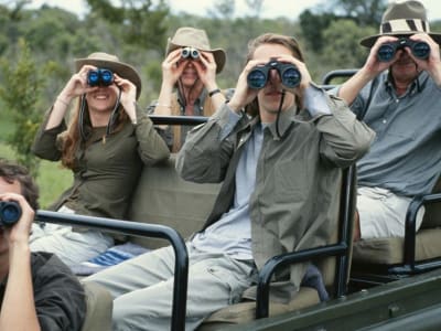 Panduan Memilih Wisata Satwa Liar Etis dan Berkelanjutan yang Wajib Tahu