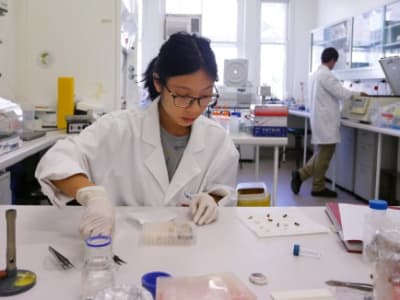 Penurunan Minat Studi Doktoral Karena Kondisi Finansial dan Peluang Karir Terbatas