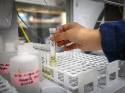 Dampak Pemotongan Dana NIH Terhadap Universitas dan Riset Medis di AS