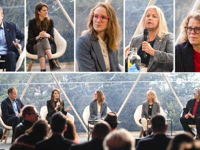 Mendorong Inovasi AI dan Energi Bersih Masa Depan di Davos