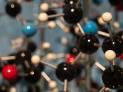 Bahan Sintetis Bergerak Seperti Cacing Buka Jalan untuk Robot dan Obat Pintar