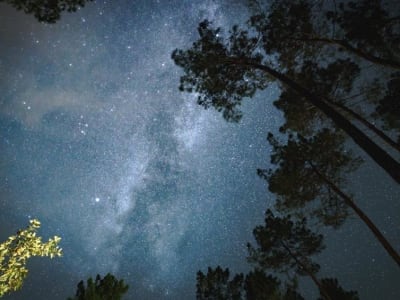 Landes de Gascogne Raih Gelar Internasional untuk Pelestarian Langit Malam