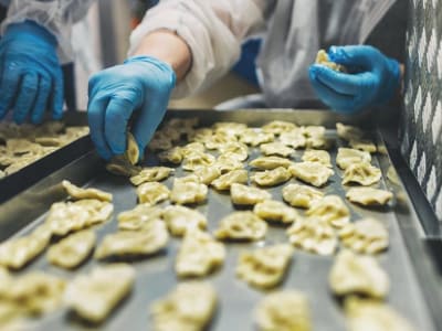 Pierogi Polandia Jadi Makanan Pertama di Luar Angkasa dari ESA