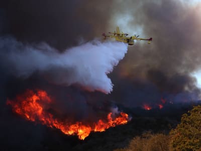 Dampak Penggunaan Air Laut untuk Padamkan Kebakaran Hutan di Los Angeles