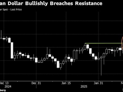 Risiko Kerugian Hedge Fund Saat Dolar Australia Menguat Tak Terduga